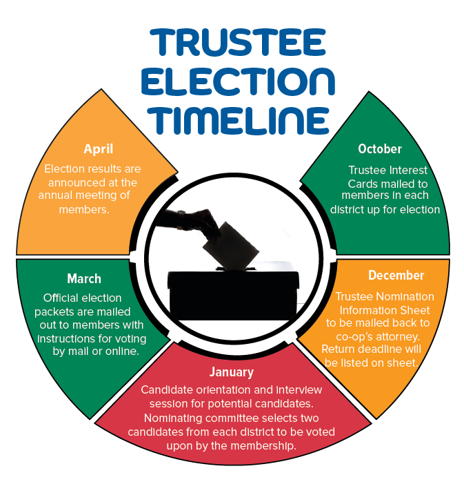 Trustee election timeline