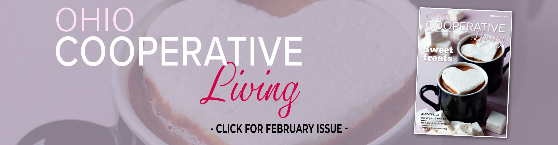 February issue of Ohio Cooperative Living!