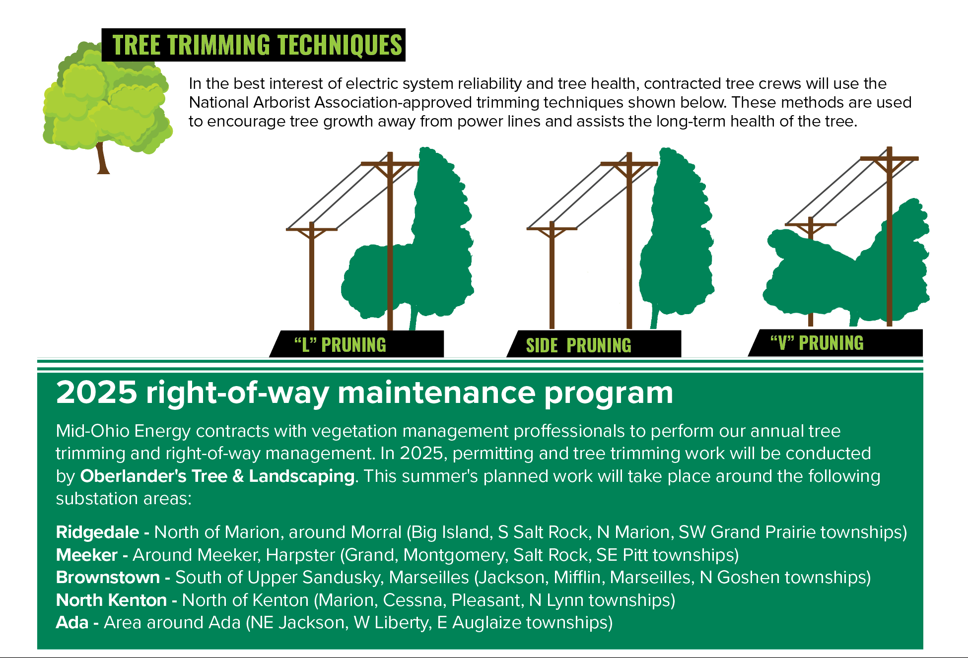 Tree trimming plans for 2025